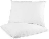 2 Pack Pillow Twin XL - 1 item